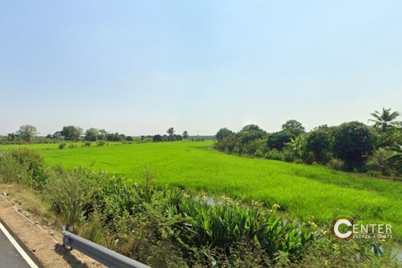 รูป (4)