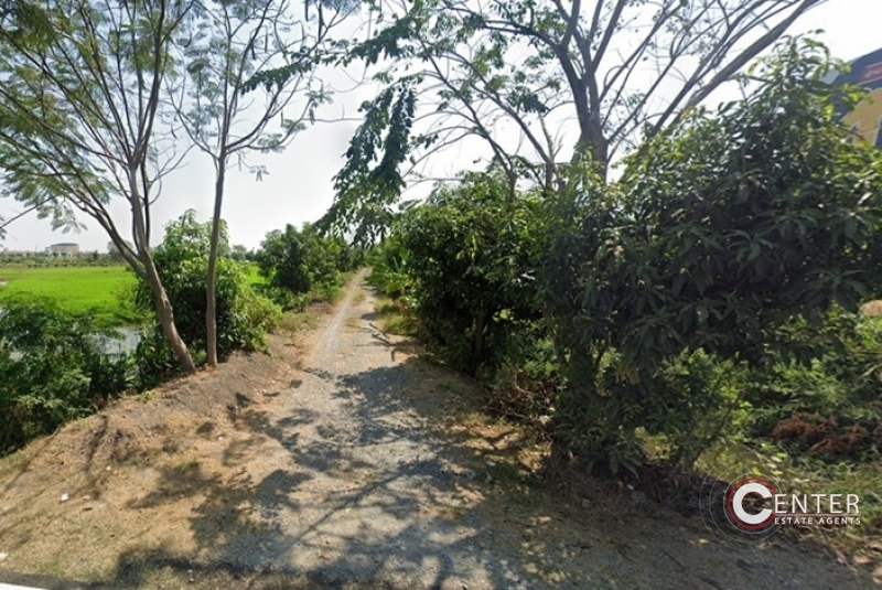 รูป (9)