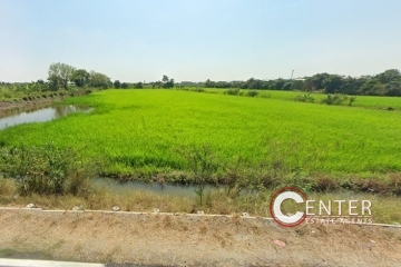 ขาย-เช่า ที่ดินติดเลียบคลองบางไผ่ ขนาด 45-2-23 ไร่